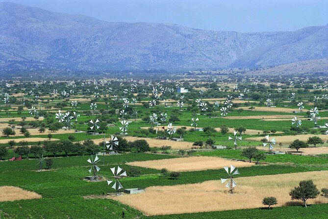 Unique Minoan Crete: Zeus Cave, Winery Visit, Knossos Palace - Zeus Cave: Mythology Meets Natural Wonder