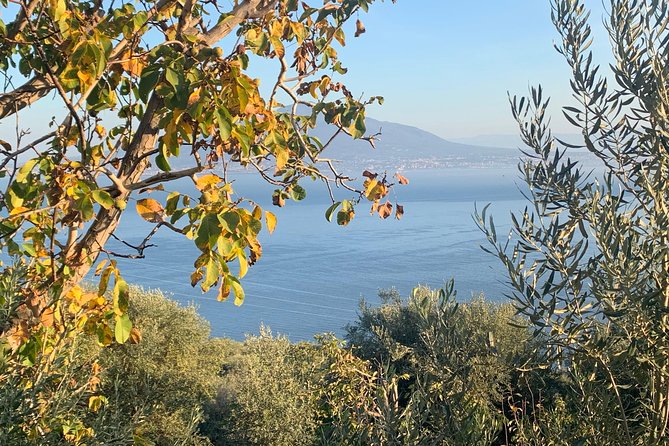 Unique Tour | Discovering Amalfi on a Minivan with driver - Positano’s Colorful Streets and Cliffs