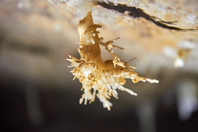 Unique Underground Experience in Soprador do Carvalho Cave - Practicalities: Booking, Cancellation, and Group Size