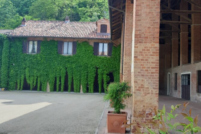 Unique wine tasting at Winery Marchesi Incisa della Rocchetta - What Makes This Winery Special in the Heart of Piedmont