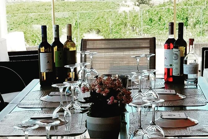 Unique wine tasting of organic Cretan wines - The Unique Organic Winery in Crete: Domaine Paterianakis