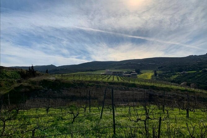 Unique wine tasting of organic Cretan wines - Why This Organic Wine Tasting Stands Out