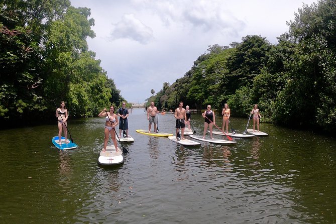 Uniquely Personalized Private Island Tour on Oahu, Hawaii - Shopping, Food, and Local Art in Waikele and Haleiwa