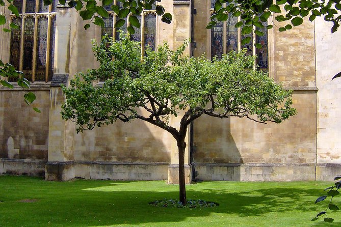 University Walking Tour - Kings College and the Iconic Chapel