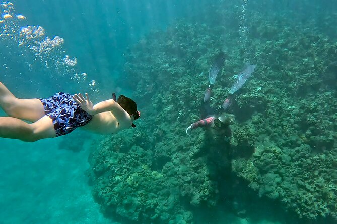 Unlimited Guided Snorkeling Tour for Beginners Plus - Discover Maui’s Guided Snorkeling Adventure with Gabriel’s Ohana
