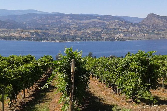 Unmatched Private Wine Tours for Up to 11 in Kelowna Area - Mt. Boucherie Estate Winery: Spectacular Views from the Slopes