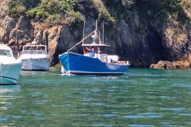 Unrivalled Coastal Tour to Saint's Bay Harbour - The View from the Water: Landmarks and Natural Beauty