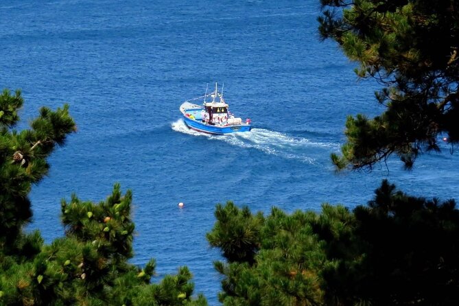 Unrivalled Coastal Tour to Saint's Bay Harbour - The Guide and Onboard Experience