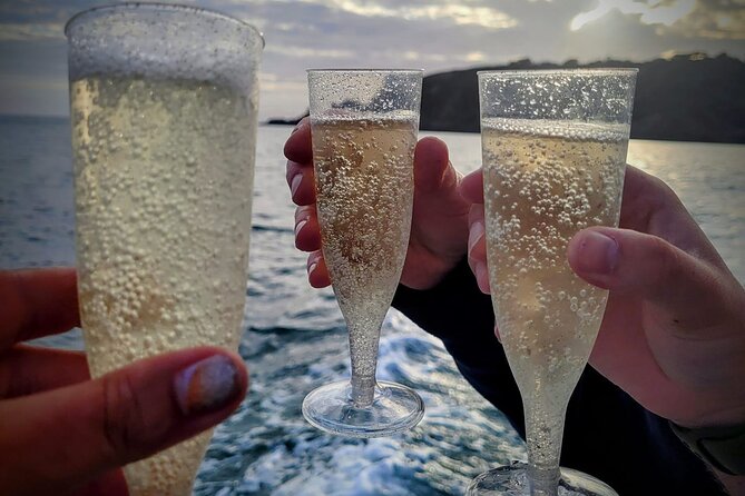 Unrivalled Coastal Tour to Saint's Bay Harbour - Weather Considerations and Cancellation Policy