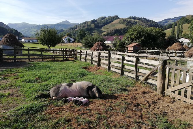 Unspoiled FRENCH BASQUE COUNTRYSIDE - Private Cultural Adeventure - Practical Logistics and Comfort