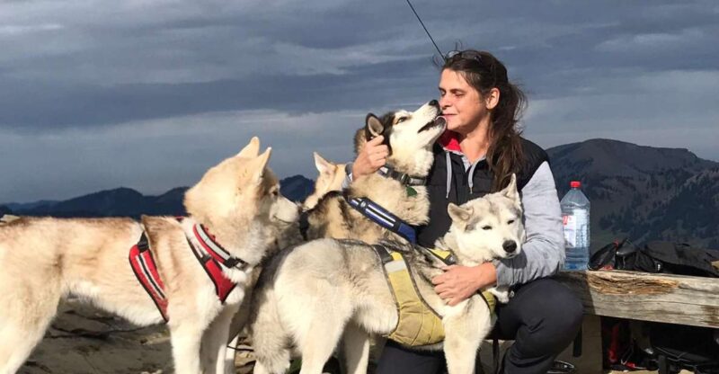 Unterallgäu: Wiedergeltingen Guided Hike with Huskies - Meet the Huskies and Learn About Their Breed
