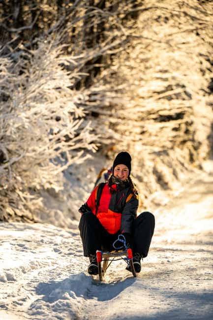 Unterseen: Night Sledding and Fondue Feast Package - Explore the Swiss Alps Slope Under the Stars