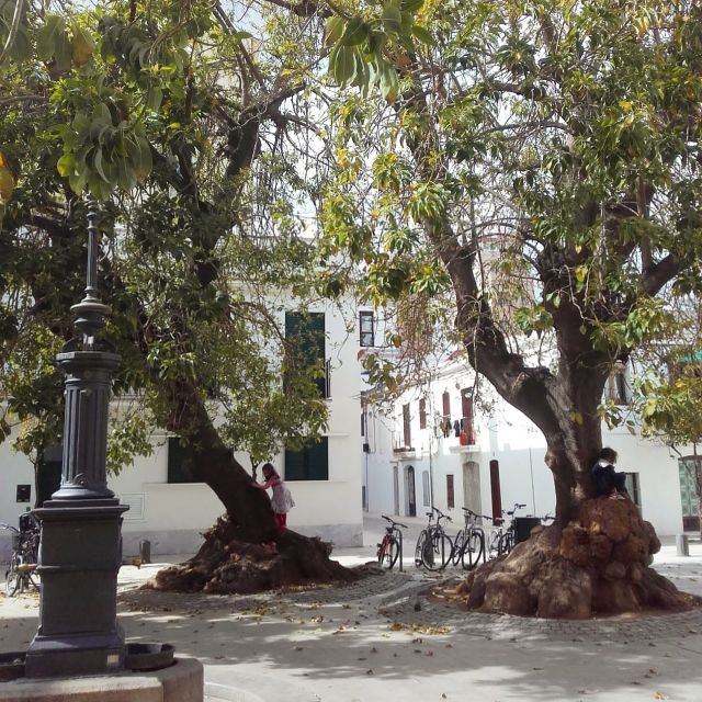 Unusual Barcelona Bike Tour in French - Pacing and Physical Requirements