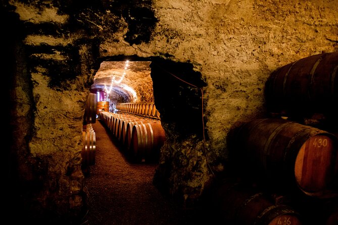 Unusual visit & Tasting of our organic wines - Discovering Château de Lucs Historic Cellars
