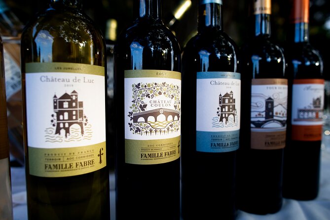 Unusual visit & Tasting of our organic wines - Wine Tasting and Expert Guidance