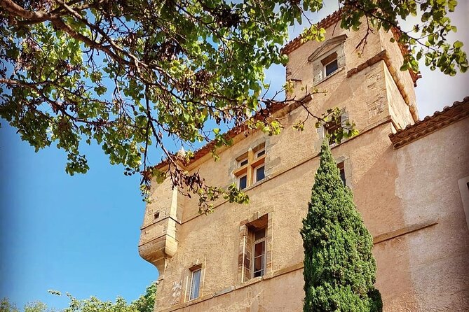 Unusual visit & Tasting of our organic wines - Practical Details and Accessibility