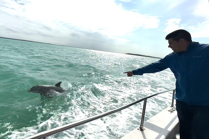 Up to 34Pax Bachelorette party boat & Yacht Rent Miami - The Unique Glass Floor and Underwater Wildlife Viewing