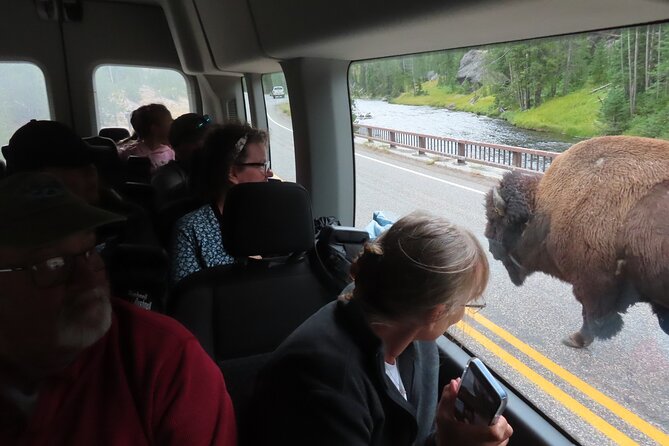 Upper Loop Tour and Lamar Valley from West Yellowstone with Lunch - Key Points