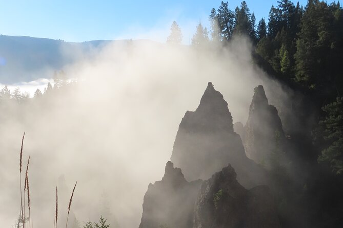Upper Loop Tour and Lamar Valley from West Yellowstone with Lunch - The Pacing and Timing of the Tour