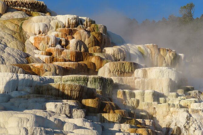 Upper Loop Tour and Lamar Valley from West Yellowstone with Lunch - How This Tour Differs from Other Yellowstone Options