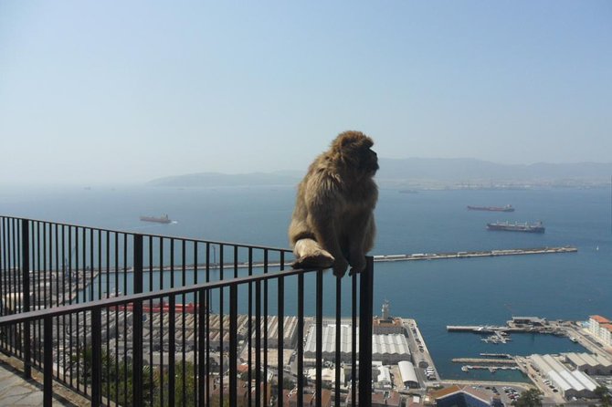 Upper Rock Walking Tour - Why This Tour Is a Top Choice