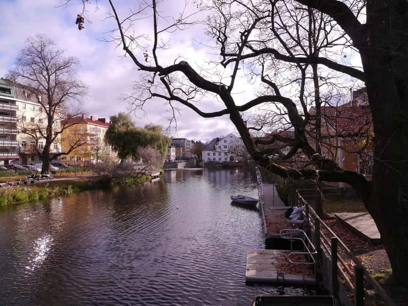 Uppsala city and Sigtuna city 8h tour from Stockholm - The Guided Tours: Knowledgeable and Personable Guides