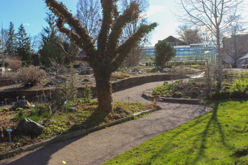 Uppsala: City Highlights and Hidden Gems Walking Tour - Flexibility, Cancellation, and Booking