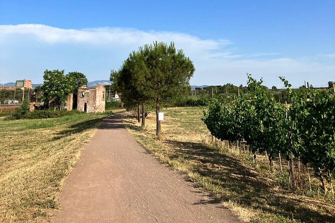 Urban Hike to the Aqueduct Park in Rome - Starting in the Trendy Pigneto Neighborhood