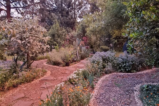 Urban Orchard in Desierto de los Leones in Mexico City - Introduction: An Urban Oasis in Mexico City for Plant Enthusiasts