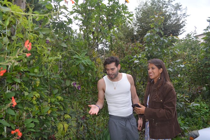 Urban Orchard in Desierto de los Leones in Mexico City - Hands-On Foraging and Sensory Engagement