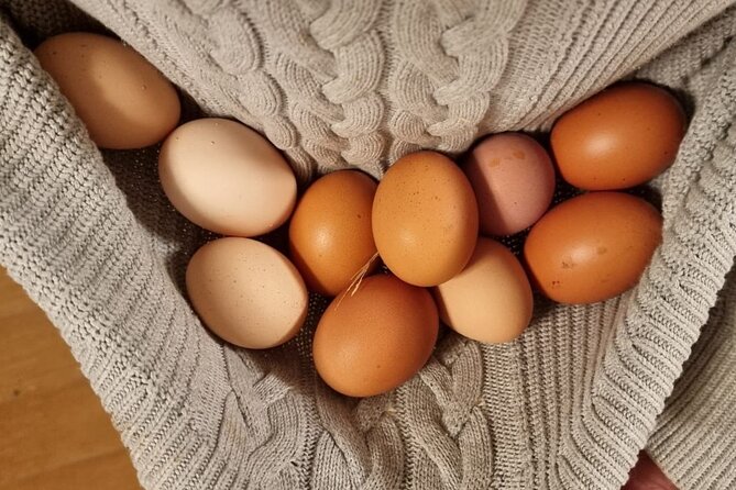 Urban Orchard in Desierto de los Leones in Mexico City - Meeting Ruben and David: Knowledgeable and Welcoming Guides