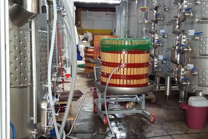 Urban winery tour, premium tasting flight & tapas - Exploring the Heart of Lisbon’s Urban Winery Scene