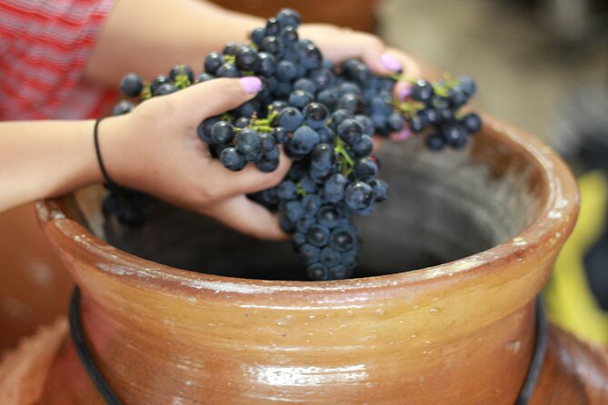 Urban winery tour, premium tasting flight & tapas - Accessibility and Logistics