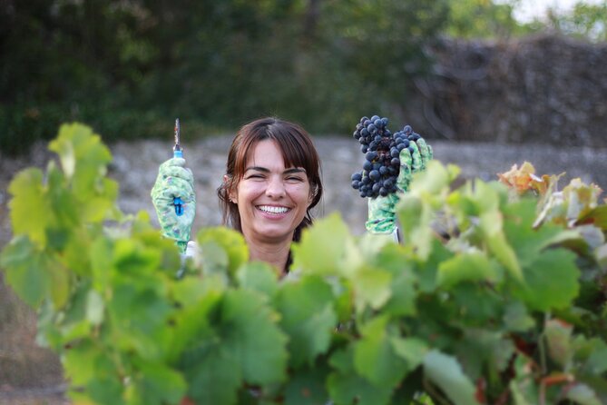 Urban winery tour, premium tasting flight & tapas - Why This Tour Stands Out