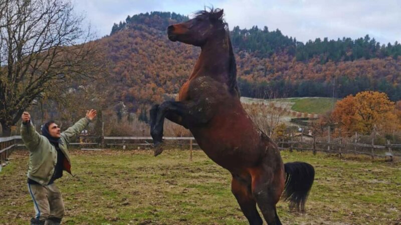 Urbino: 2-hour horseback ride in the Furlo Nature Reserve - Unique Horseback Adventure in Urbino’s Furlo Nature Reserve