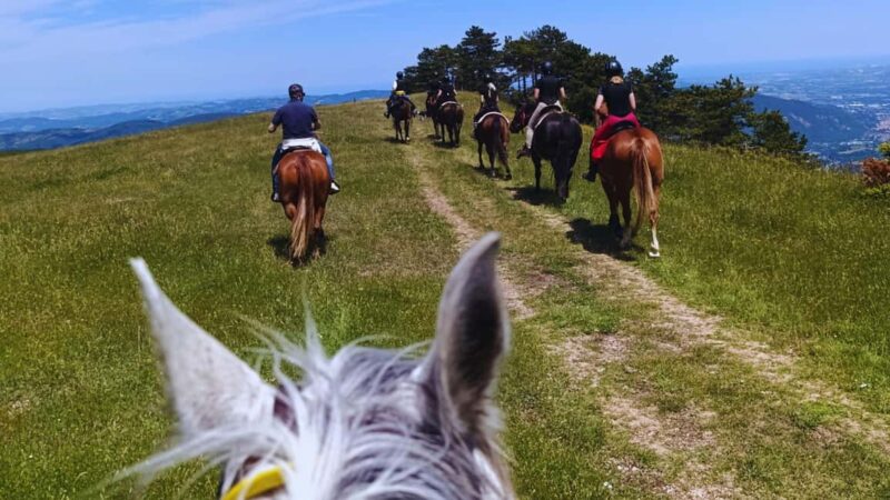 Urbino: 2-hour horseback ride in the Furlo Nature Reserve - Key Points