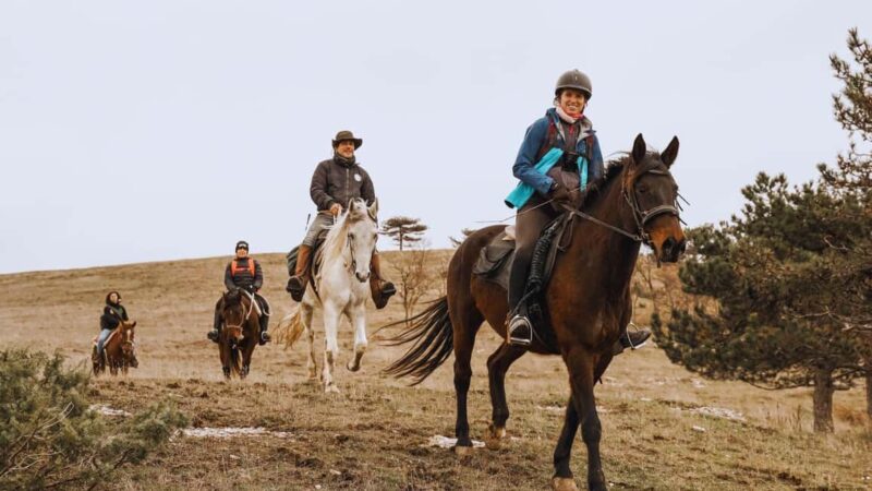 Urbino: 2-hour horseback ride in the Furlo Nature Reserve - Starting Point and Easy Access to the Riding Stable