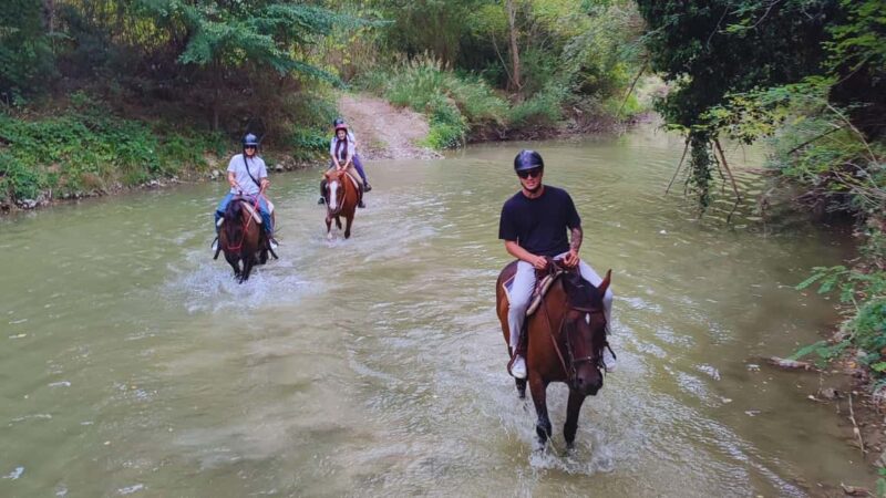 Urbino: 2-hour horseback ride in the Furlo Nature Reserve - Physical Requirements and What to Bring