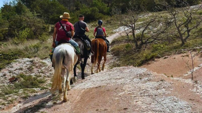 Urbino: 2-hour horseback ride in the Furlo Nature Reserve - The Sum Up: A Scenic and Adventurous Ride Near Urbino