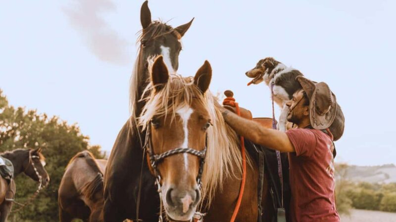 Urbino: Horseback Riding Tour with Guide - Starting at the Stable: Meeting Free Horses and Getting Ready