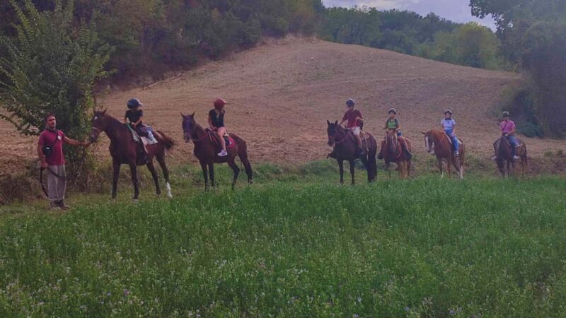 Urbino: Horseback Riding Tour with Guide - Weather and Cancellation Policies for Flexibility