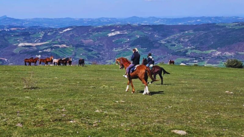 Urbino: Horseback Riding Tour with Guide - Who Will Enjoy This Tour Most?