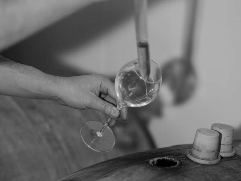 Urville: Tour and champagne tasting with cheese and honey pairings - Final Thoughts on the Urville Champagne and Gourmet Tasting