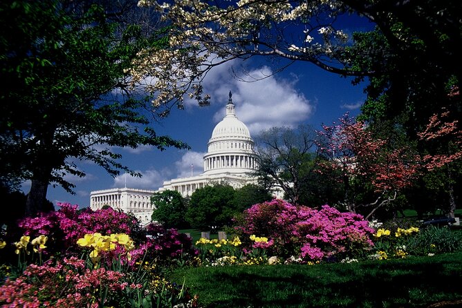 US Capitol & Library of Congress with Guided Walk of Capitol Hill - The Significance of Thomas Jefferson’s Library