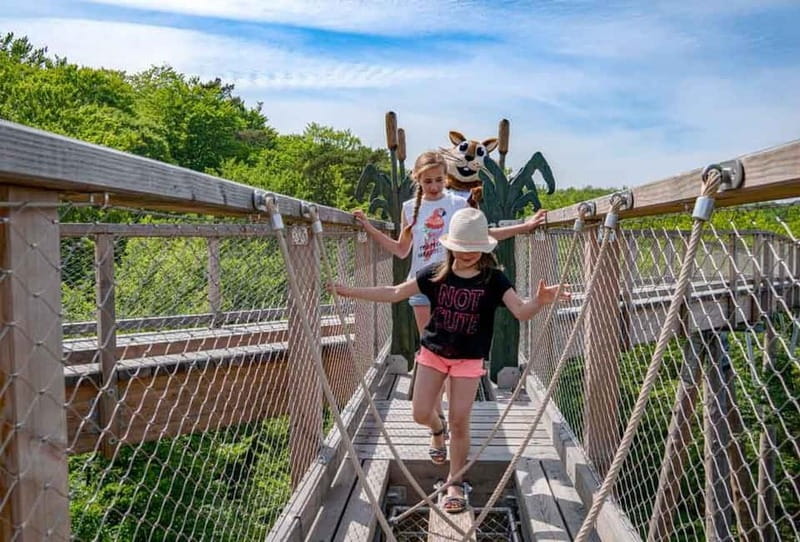 Usedom: Treetop Walk Adventure on Usedom Island - Discover the 1.350-Metre Elevated Path Through the Treetops