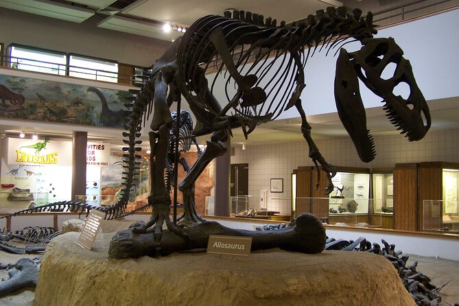 Utah Mighty 5 National Parks: Small Group 5-Day Tour - Day 2: Iconic Arches and Outdoor Activities in Moab