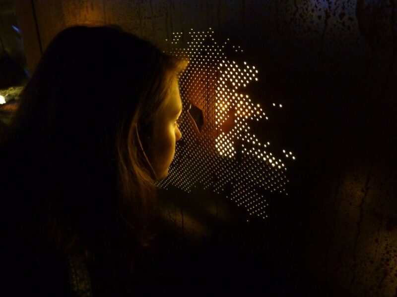 Utrecht: DOMunder Entry Ticket with Guide - Accessibility and Practical Tips