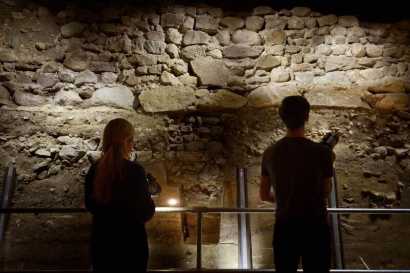 Utrecht: DOMunder Entry Ticket with Guide - Who Will Appreciate This Tour Most