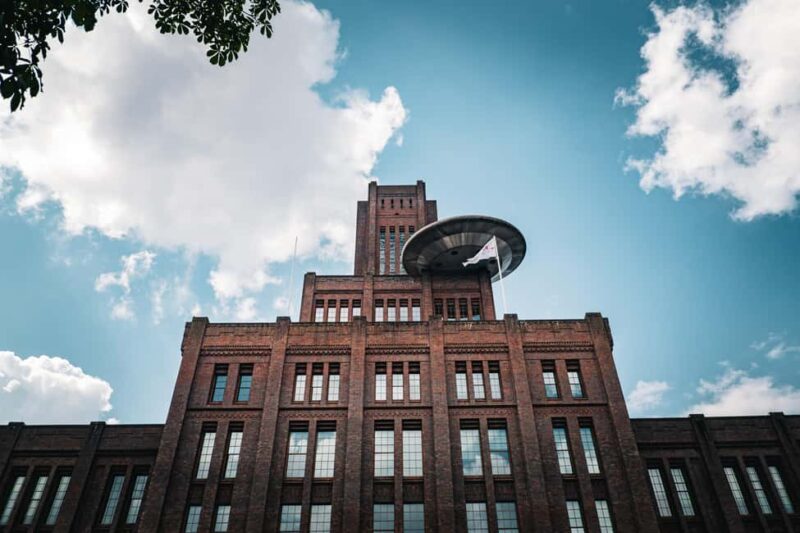 Utrecht: Walking Tour with a Local - Key Points