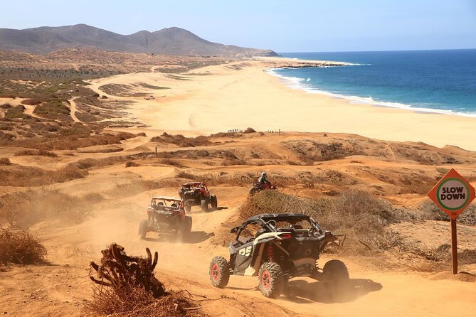 UTV 4X4 Cabo Adventure, Beach Ride & Tequila Tasting - Whale Watching Opportunities from January to March